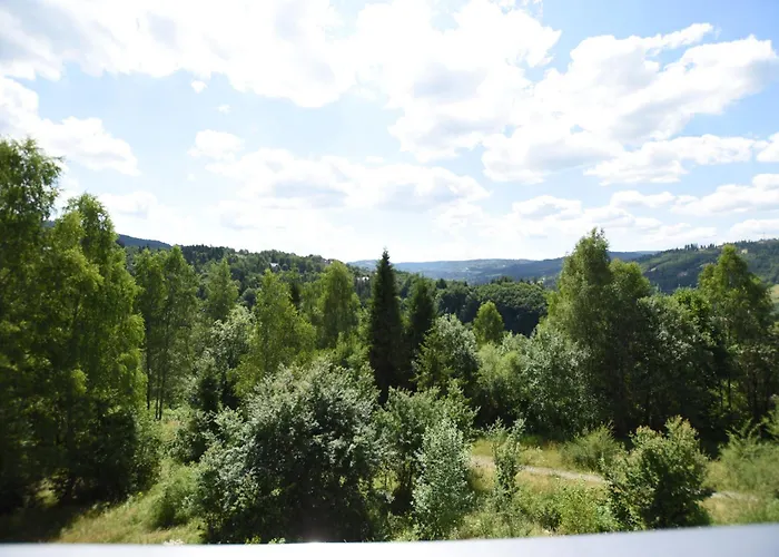 Apartament Na Bukowej - Wisla, Widokowe Studio